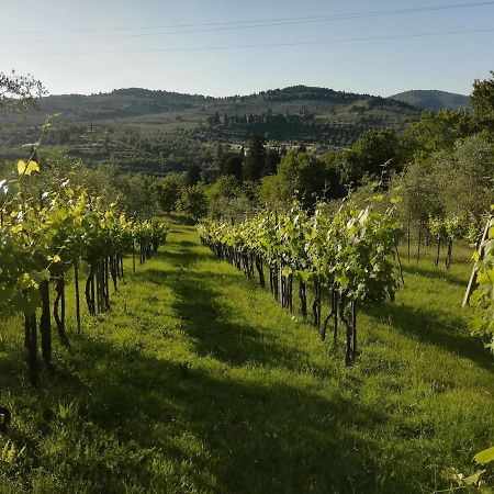 Villa Storica Di Majano Bagno a Ripoli Kültér fotó