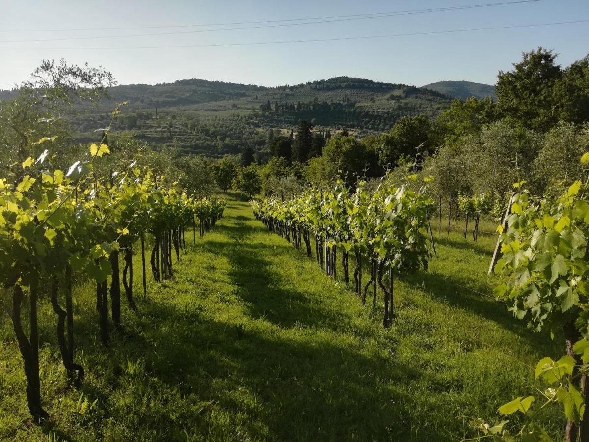 Villa Storica Di Majano Bagno a Ripoli Kültér fotó